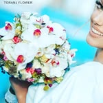 تصویر 🌹گل ترنج-ToranjFlower1🌹