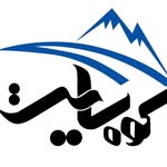 تصویر Farzin Rashidi