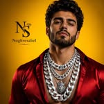 تصویر نقره ساحل زنجیر گردنبند